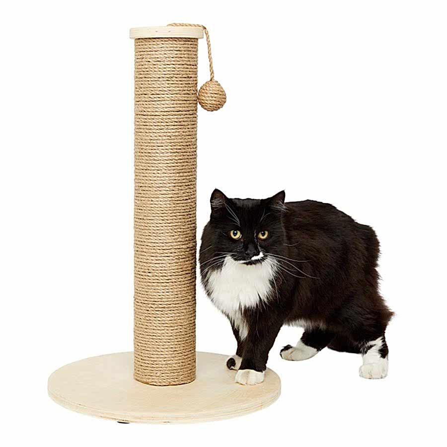 Willow's Cat Scratch Post Wood