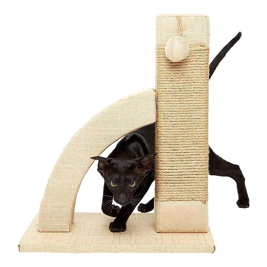 Willow's Scratch & Play Cat Post