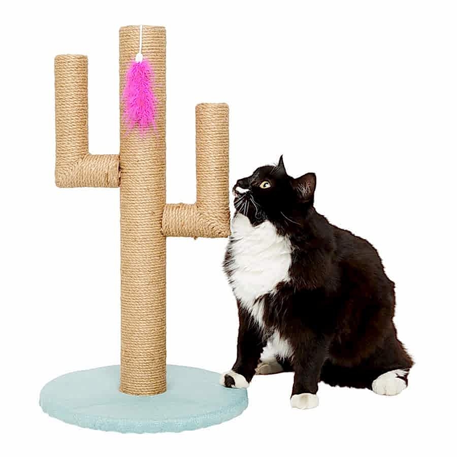 Pets at Home Juan Jute Cat Scratching Post