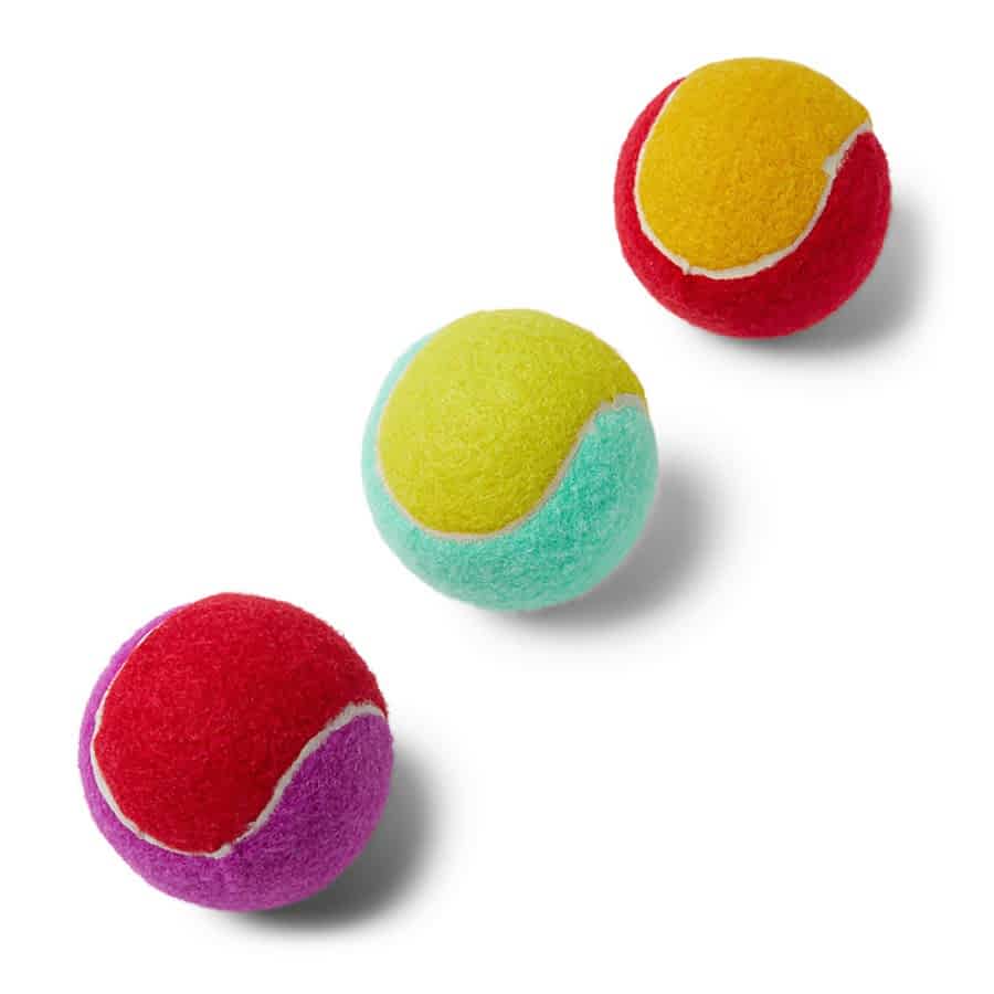 Sunny Daze Tennis Ball Dog Toy