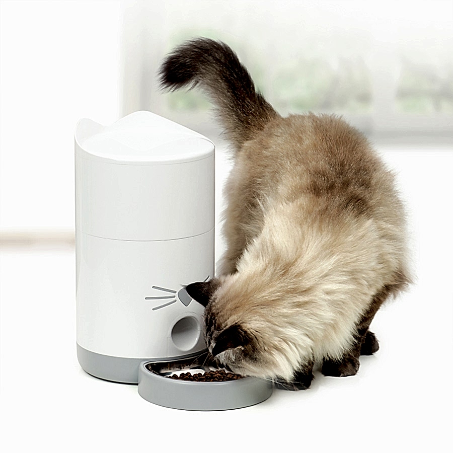 Catit PIXI Smart Cat Feeder