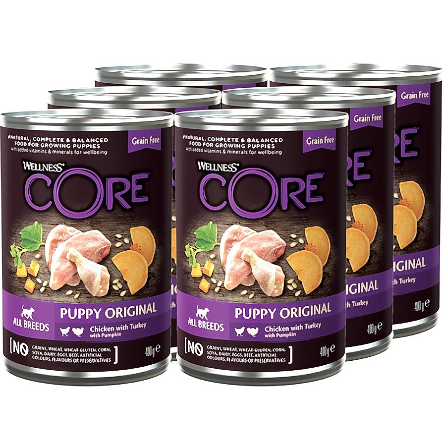 Wellness Core Grain Free Complete Wet Puppy Food Turkey & Chicken