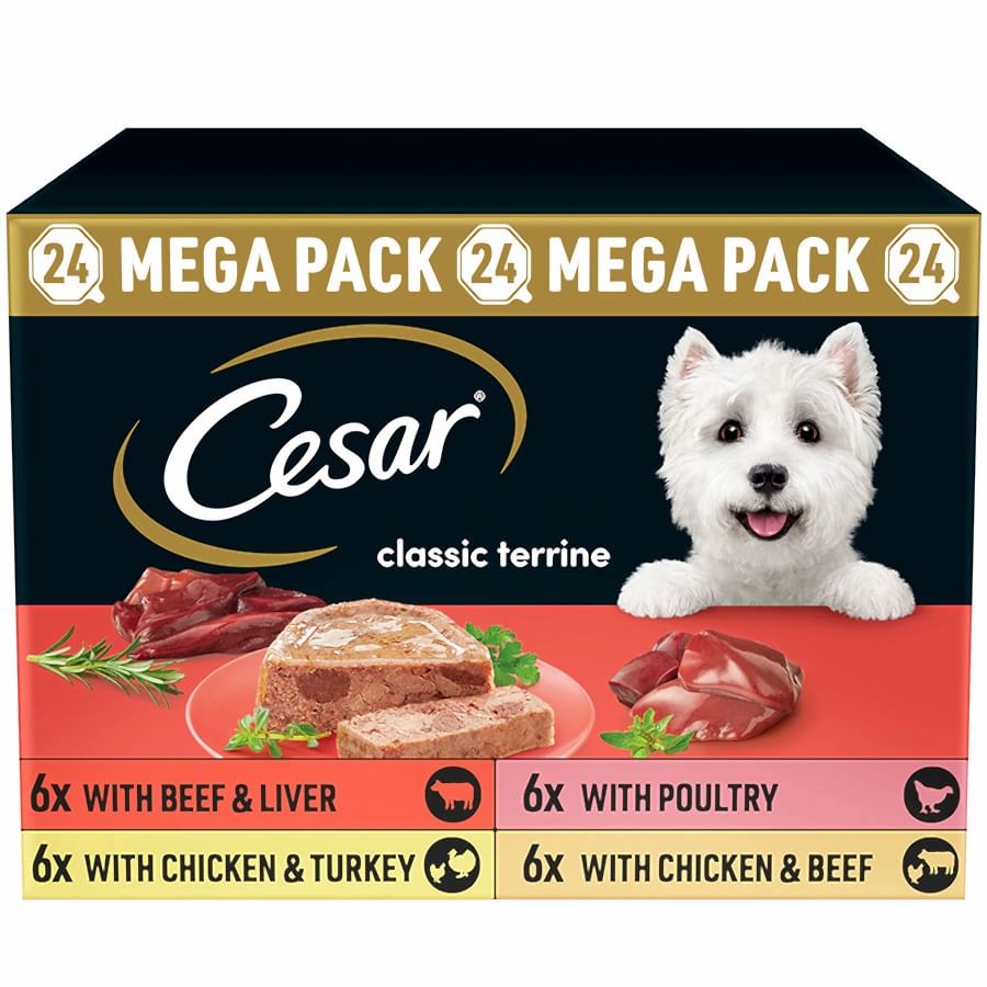 Cesar Classic Terrine Wet Adult Dog Food Mixed Loaf