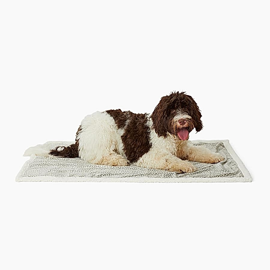 Pets at Home Reversible Puppy Blanket Spotty Grey