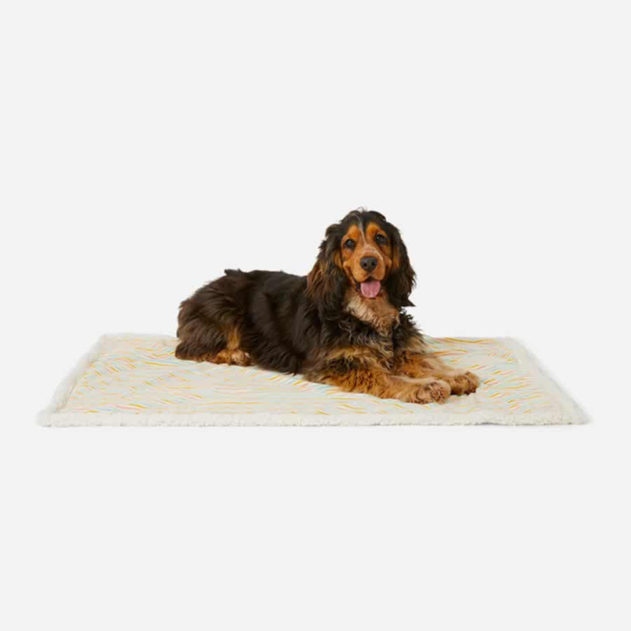 Pets at Home Reversible Puppy Blanket Stripe