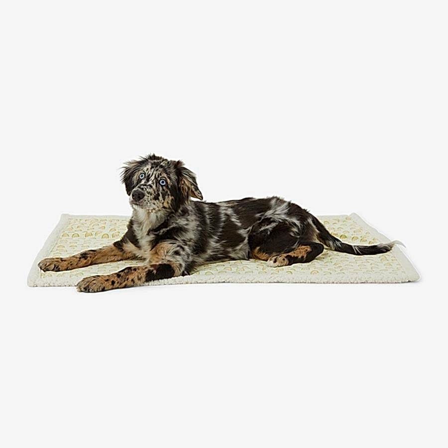 Pets at Home Rainbow Reversible Puppy Blanket