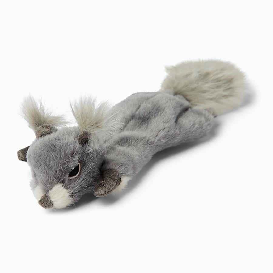 Wainwright's Puppy Squirrel Flattie Dog Toy