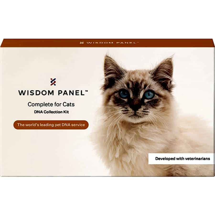 Wisdom Panel Complete Cat DNA Test