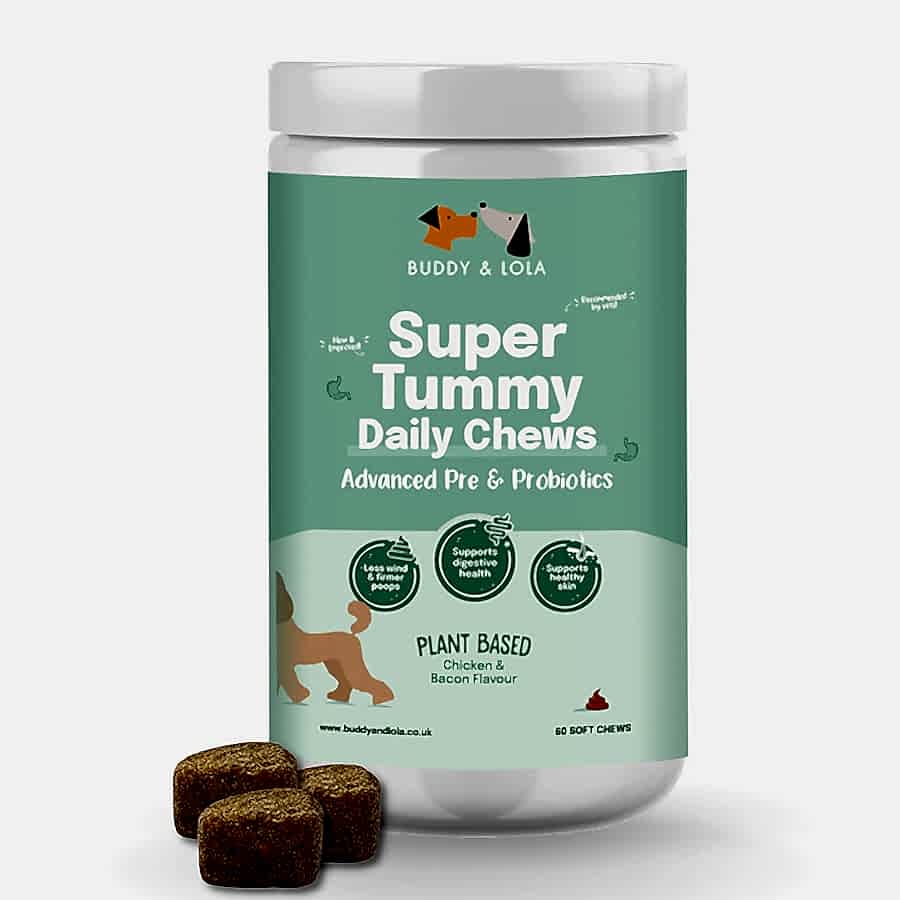 Buddy & Lola Super Tummy Daily Probiotic for Dogs