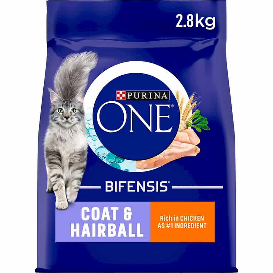 Purina ONE Coat & Hairball Adult Dry Cat Food Chicken