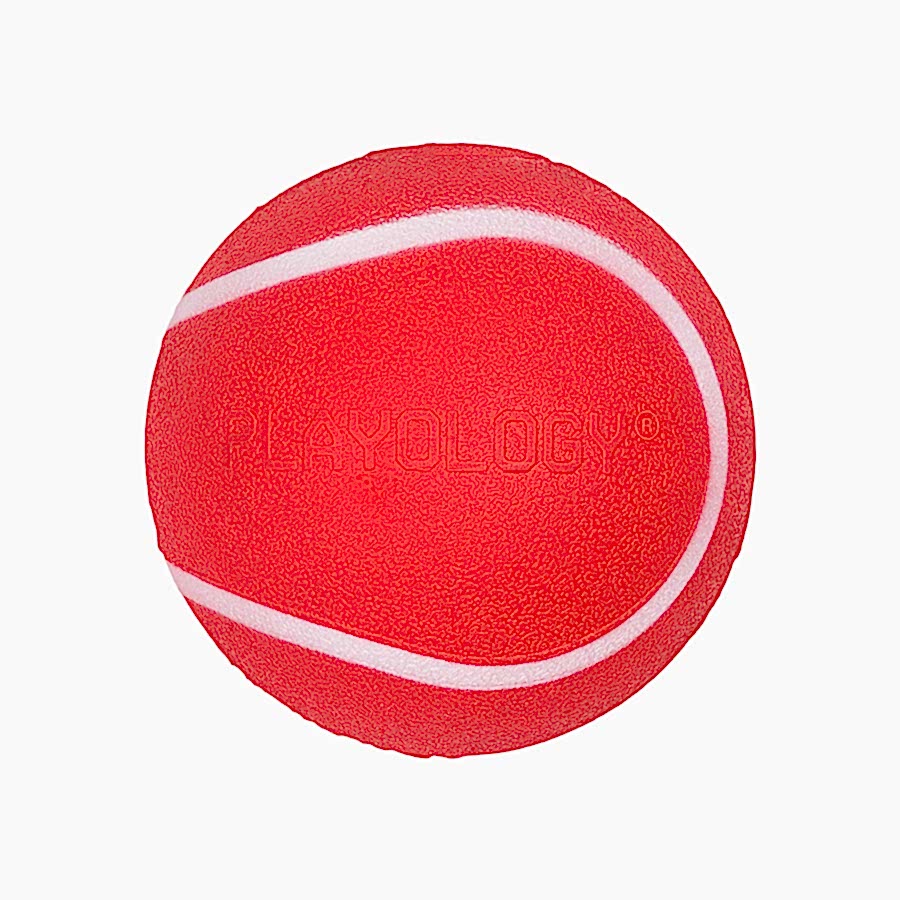 Playology Beef Squeaky Chew Ball Dog Toy Medium/Large