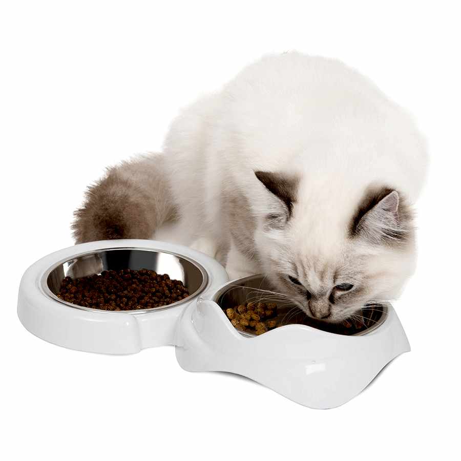 Catit PIXI Double Feeding Dish for Cats