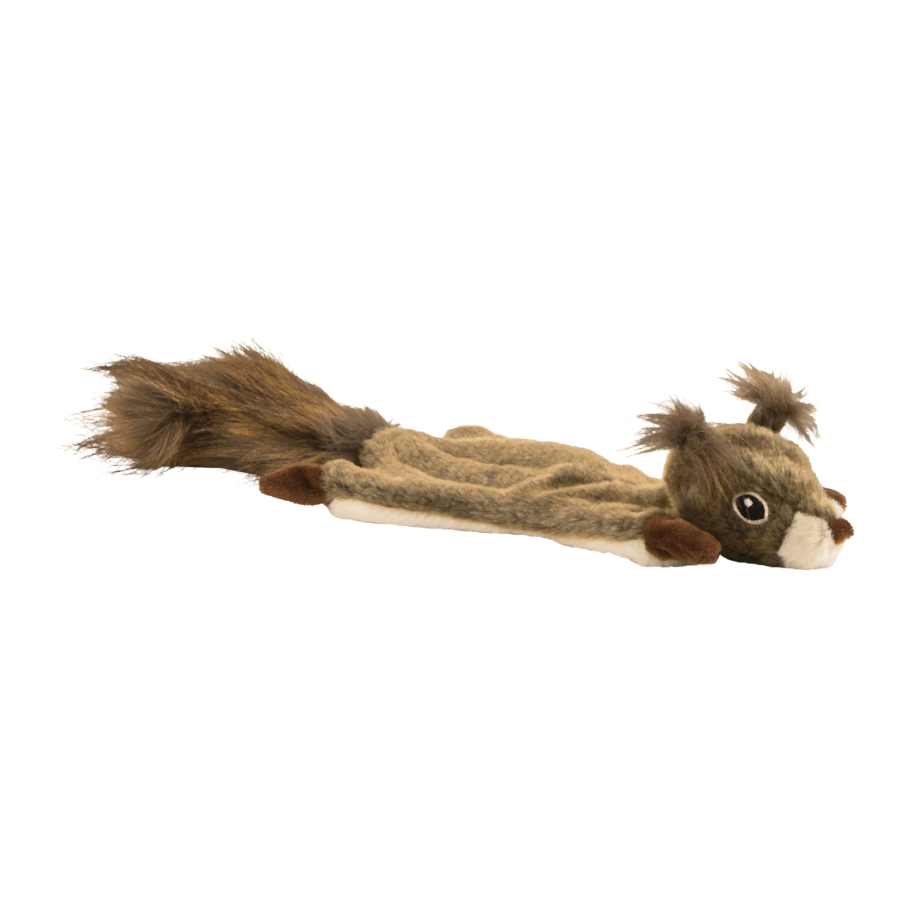 Wainwright's Realistic Squirrel Flattie Dog Toy