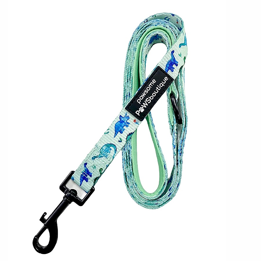 Pawsome Paws Boutique Dinky Dino Dog Lead