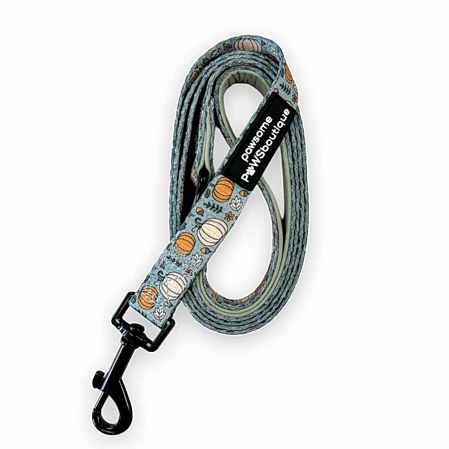 Pawsome Paws Boutique Pumpkin Dog Lead Green