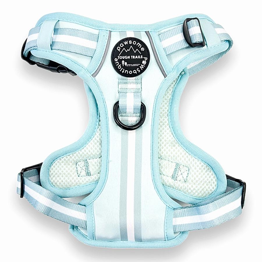 Pawsome Paws Boutique Essentials Dog Harness Mint