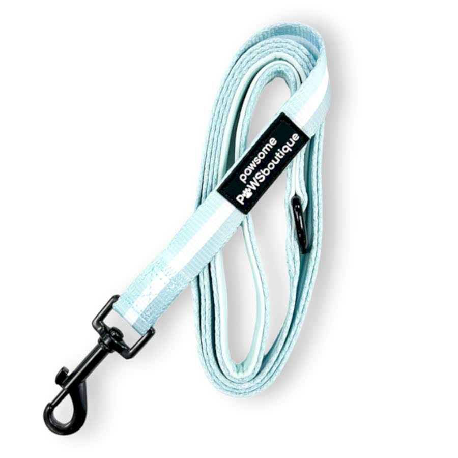 Pawsome Paws Boutique Essentials Dog Lead Mint