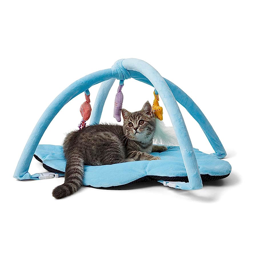 Pets at Home Kitten Play Gym