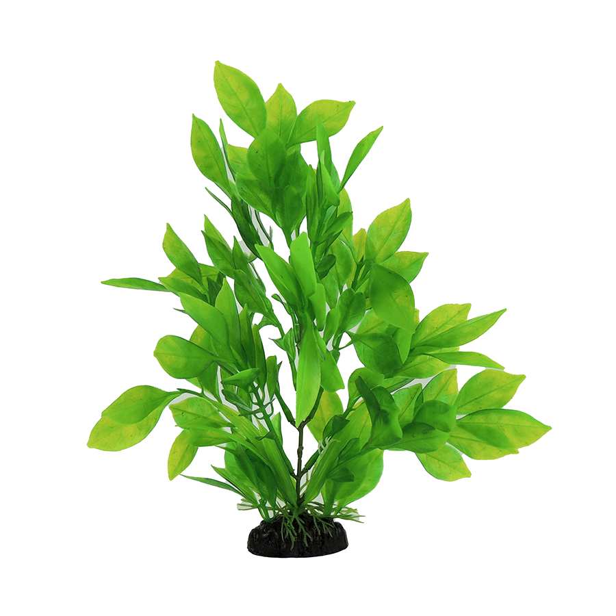 Classic Aquatics Bamboo Plant