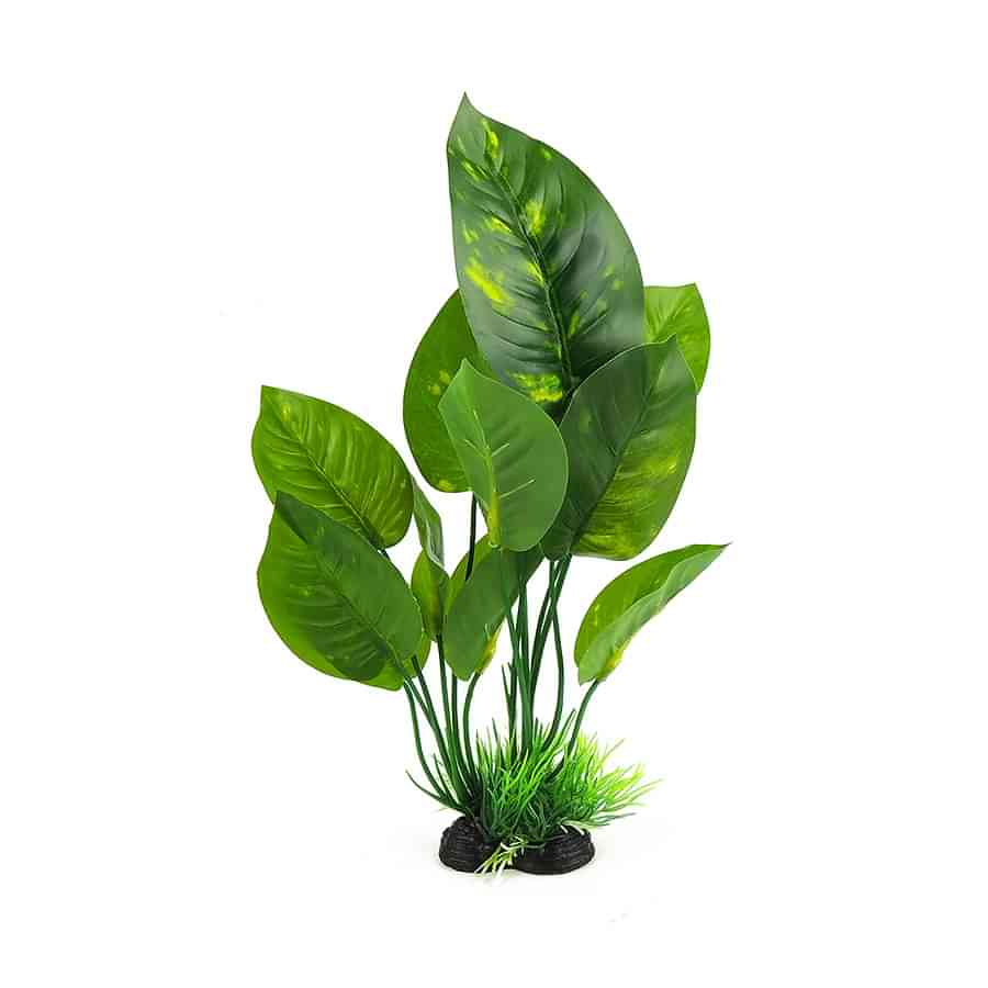 Classic Aquatics Green Broad Plant