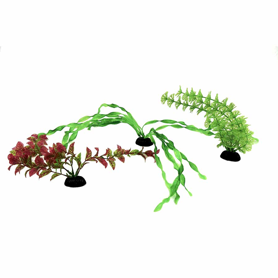 Classic Aquatics Aquatic Plants Medium