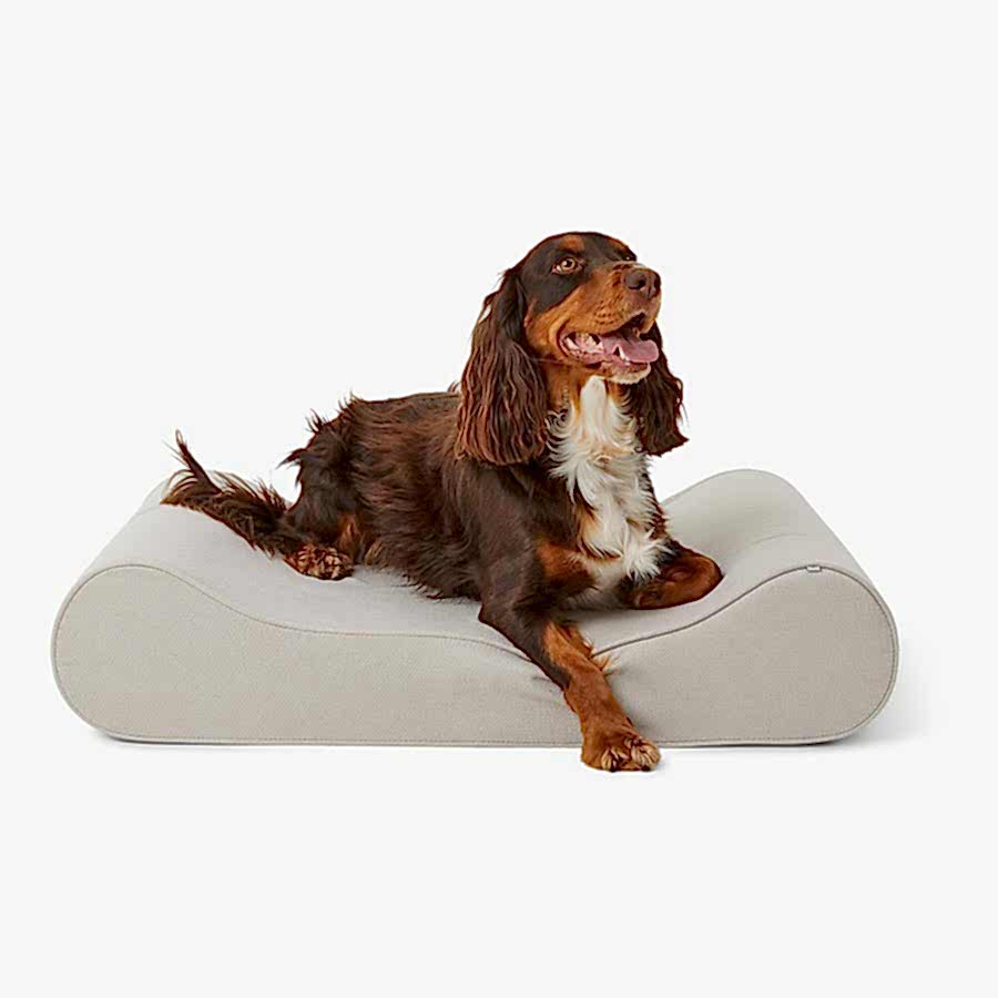 Noble Chenille Curved Dog Mattress Biscuit Medium