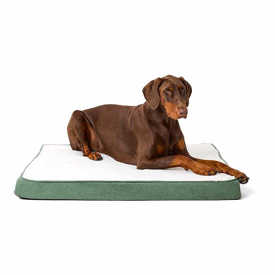 Noble Chenille Dog Mattress Green Large