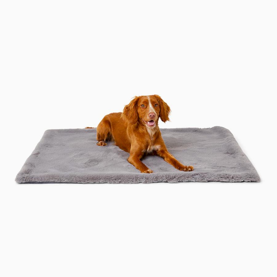 Noble Luxury Faux Fur Dog Blanket Grey