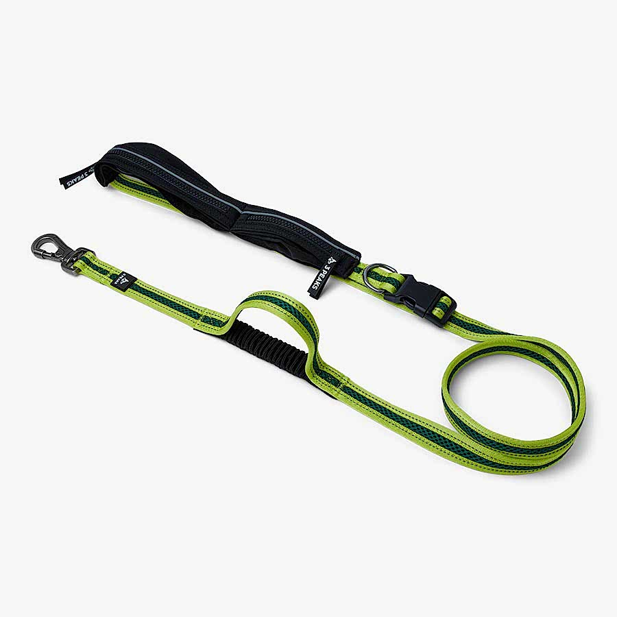 3 Peaks Running Dog Lead Green Large