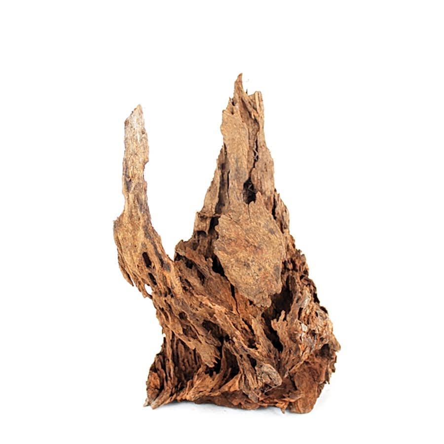 Aqua One Natural Mangrove Wood Aquatic Ornament