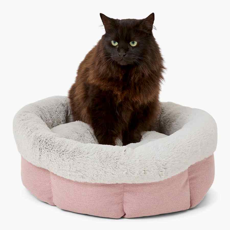 Noble Memory Foam Scalloped Cat Bed Pink