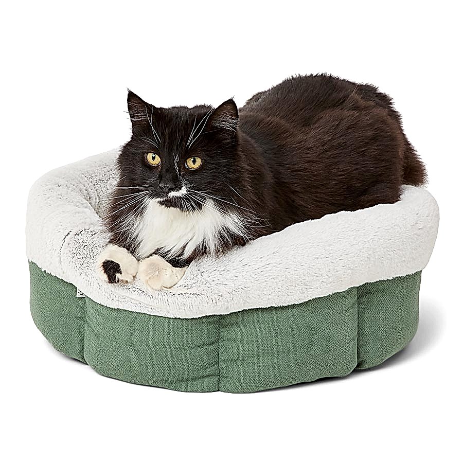 Noble Memory Foam Scalloped Cat Bed Green