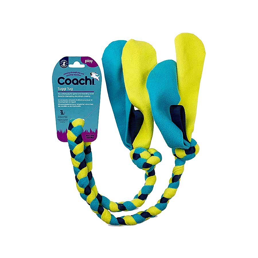 Coachi Tuggi Tug Dog Toy Blue & Lime