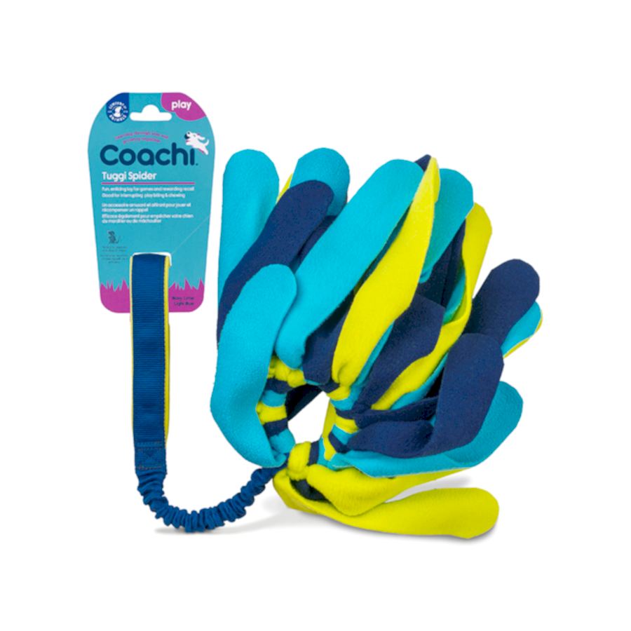 Coachi Tuggi Spider Dog Toy Blue & Lime