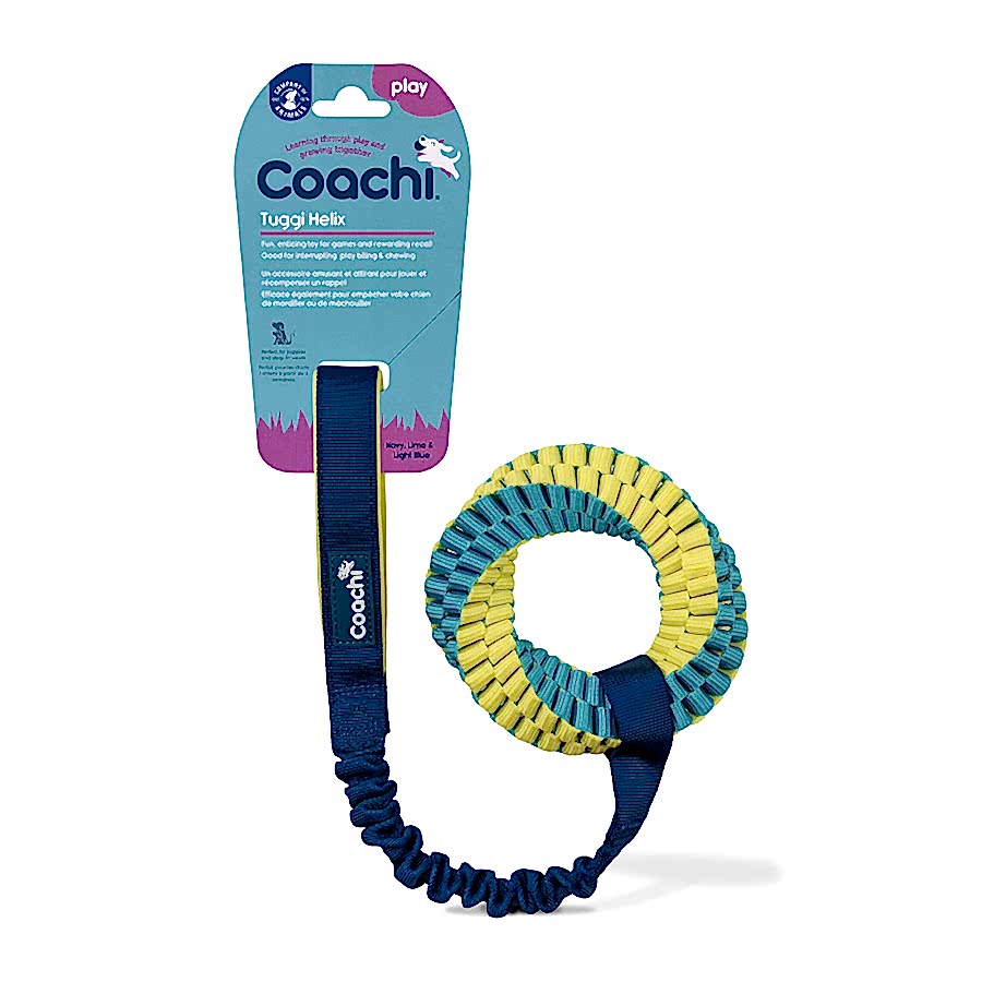 Coachi Tuggi Helix Dog Toy Blue & Lime