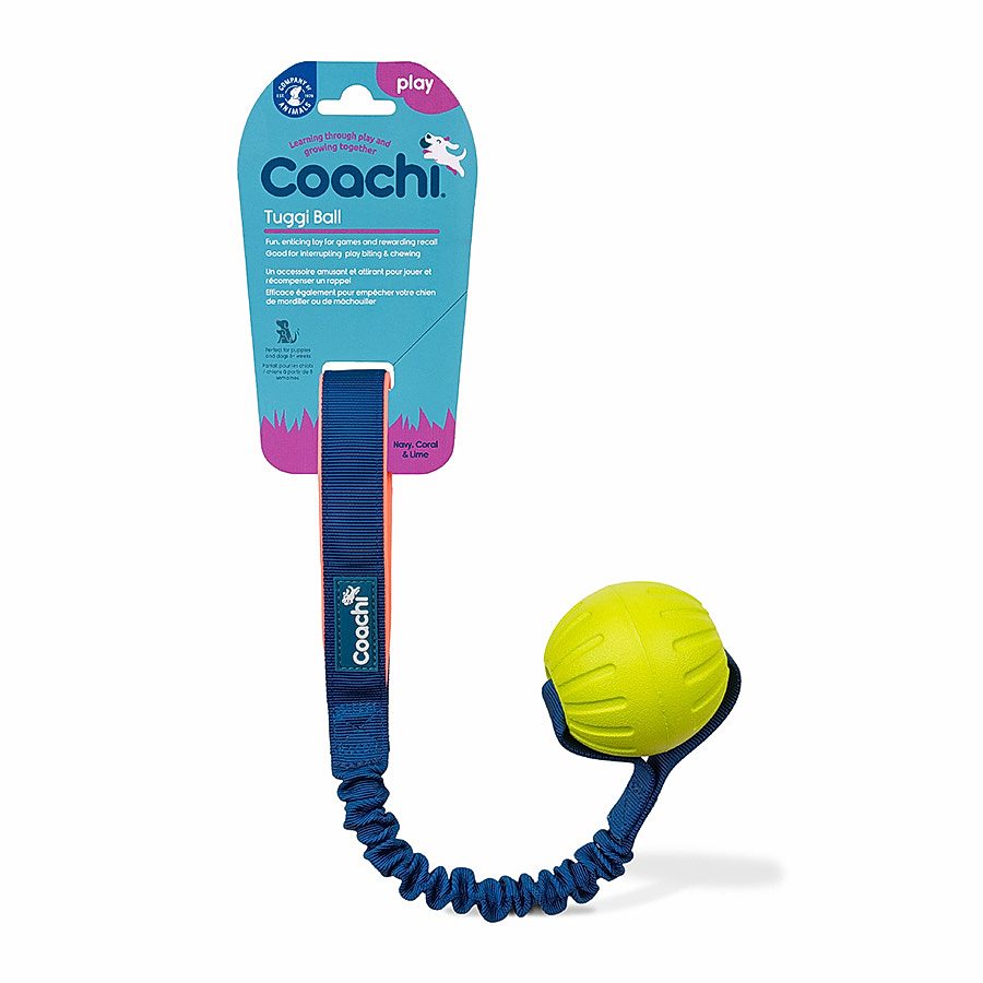 Coachi Tuggi Ball Dog Toy Blue & Lime