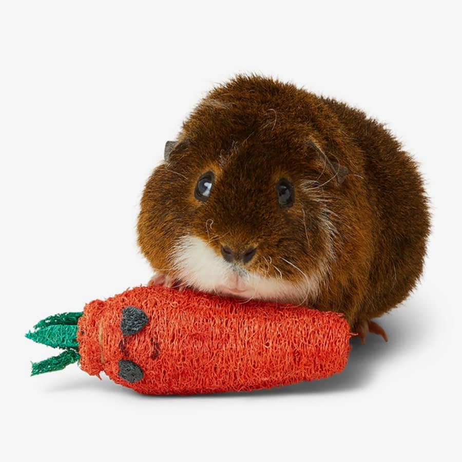 Pets at Home Christmas Loofah Carrot Small Animal Gnaw Toy