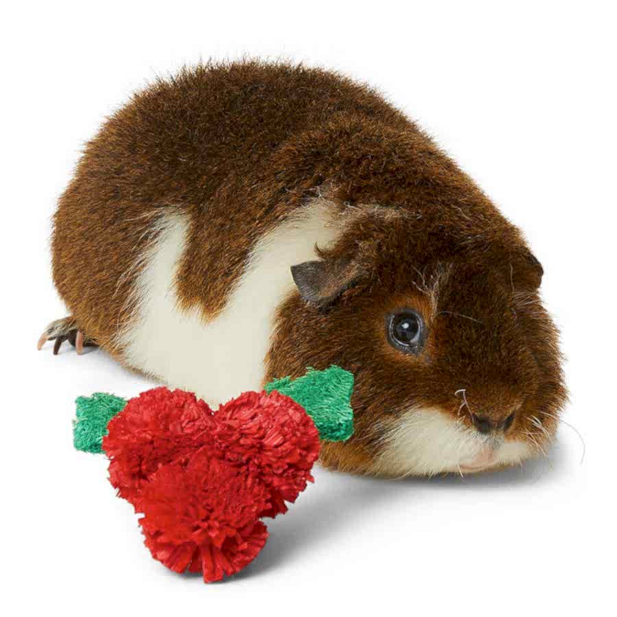 Pets at Home Christmas Seagrass Holly Small Animal Gnaw Toy