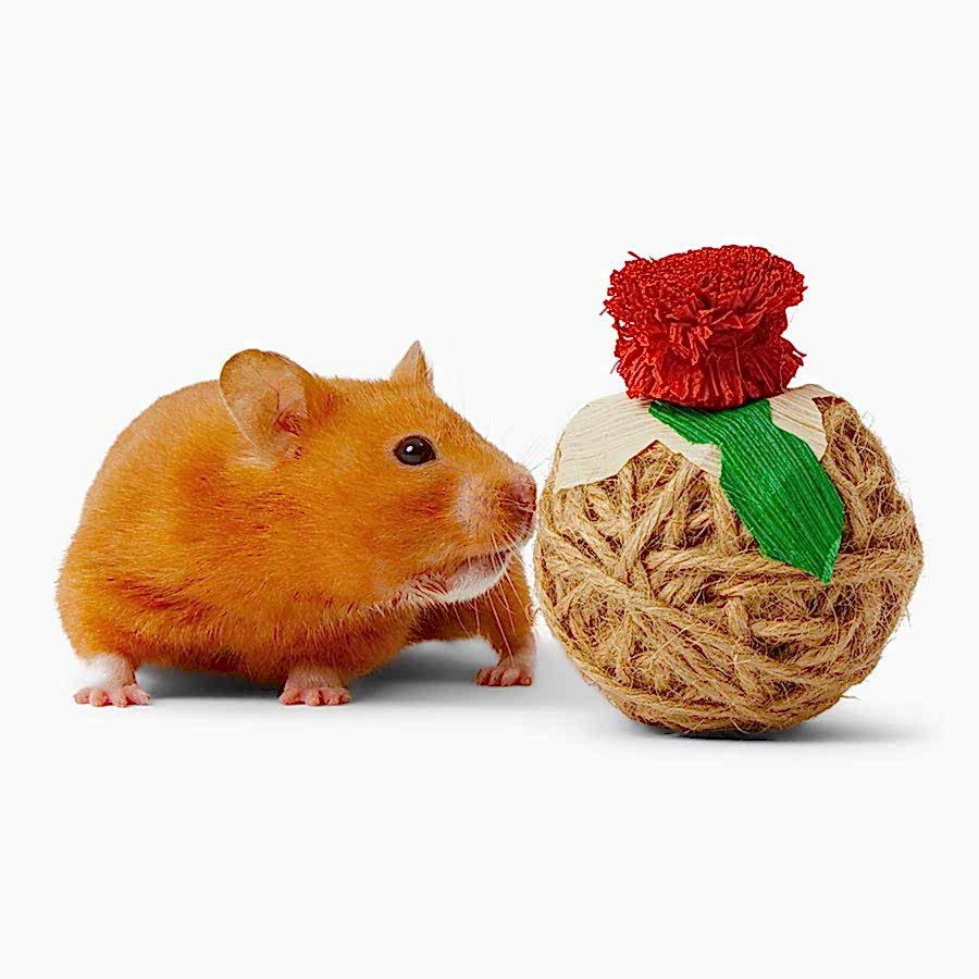 Pets at Home Christmas Sisal Christmas Pudding Small Animal Gnaw Toy