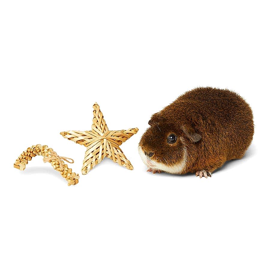 Pets at Home Christmas Star & Candy Cane Small Animal Gnaw Toys