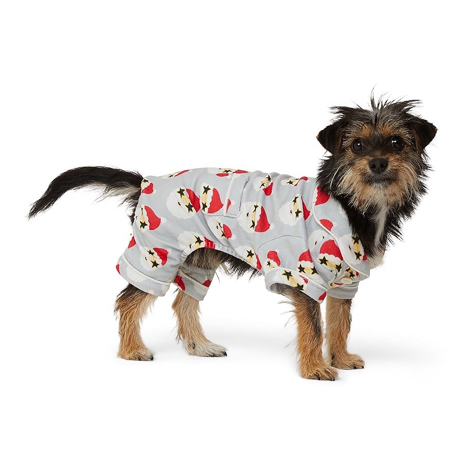 Pets at Home Christmas Starstruck Santa Onesie Grey