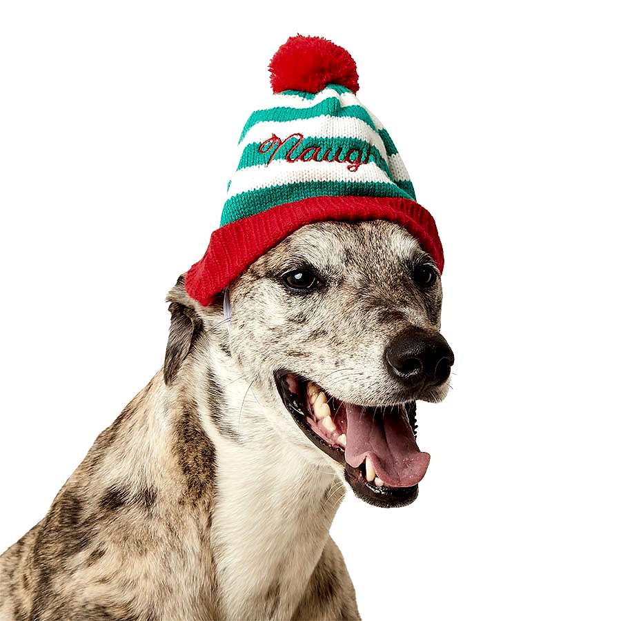 Pets at Home Christmas Naughty/Nice Striped Dog Beanie Multi Coloured