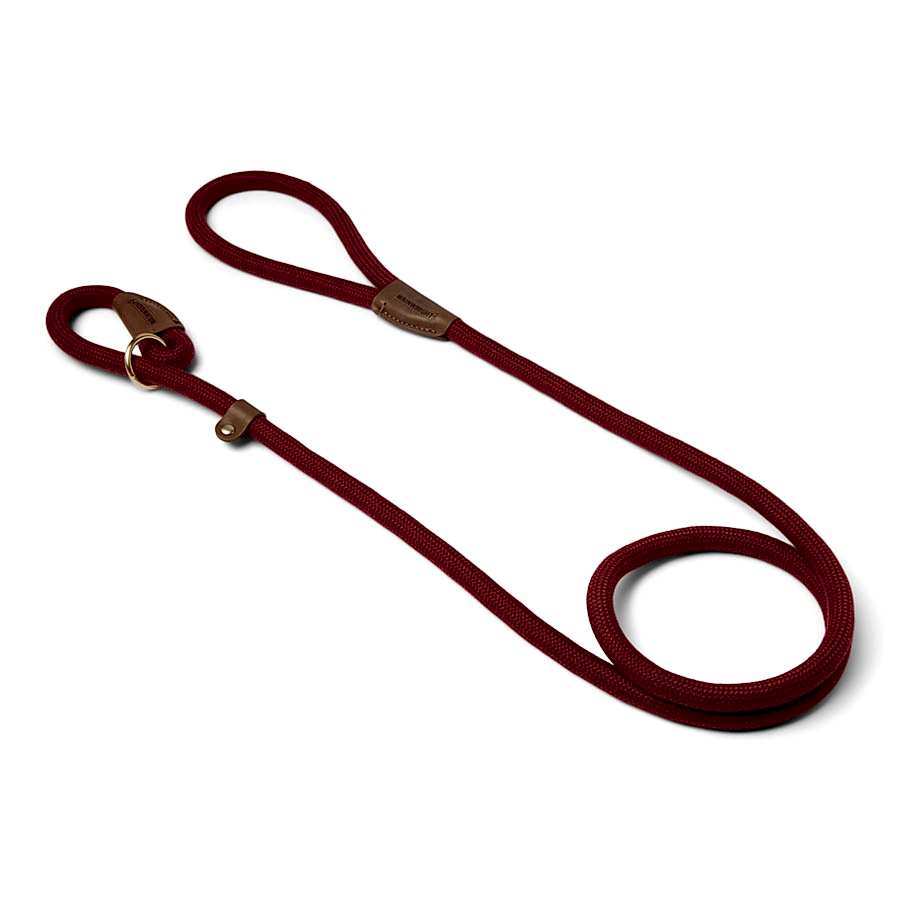 Wainwright's Christmas Retraced Roots Slip Dog Lead Berry Red