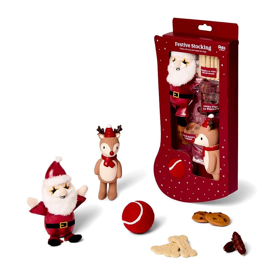 Pets at Home Christmas Festive Stocking Dog Treat Medium