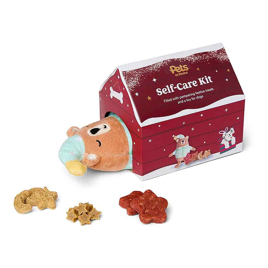 Pets at Home Christmas Self Care Kit Dog Treat