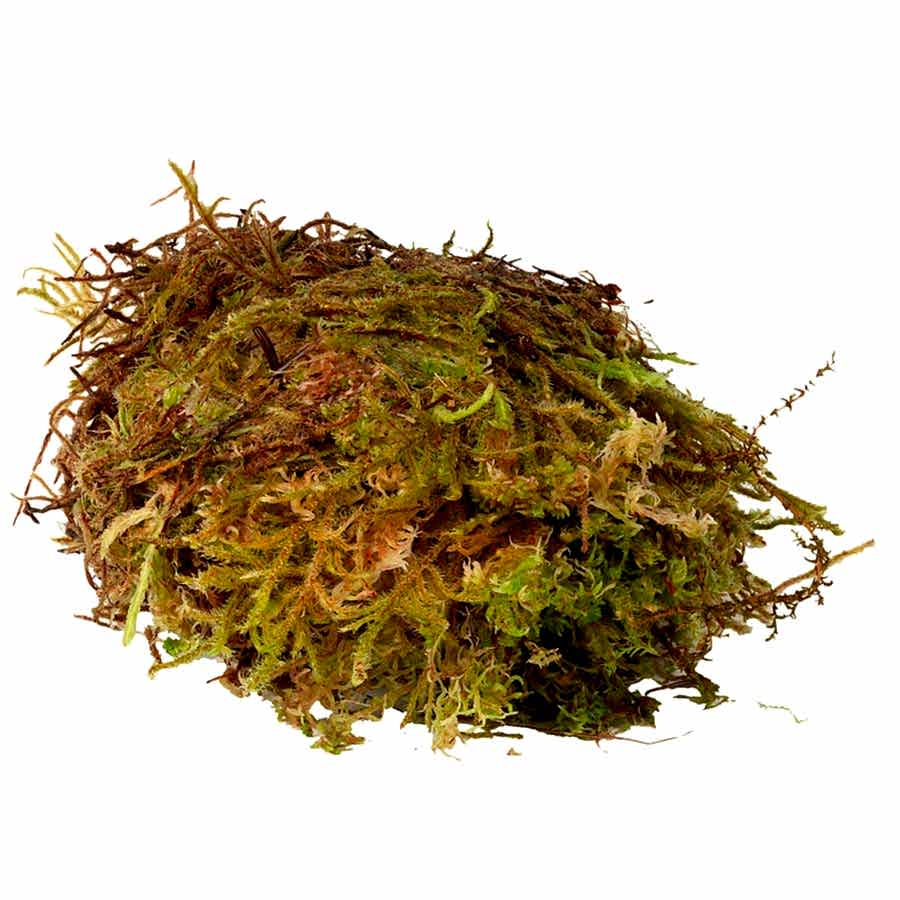 HabiStat Sphagnum Moss