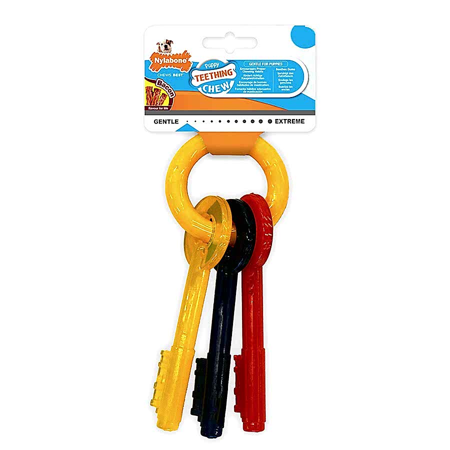 Nylabone Puppy Chew Teething Keys