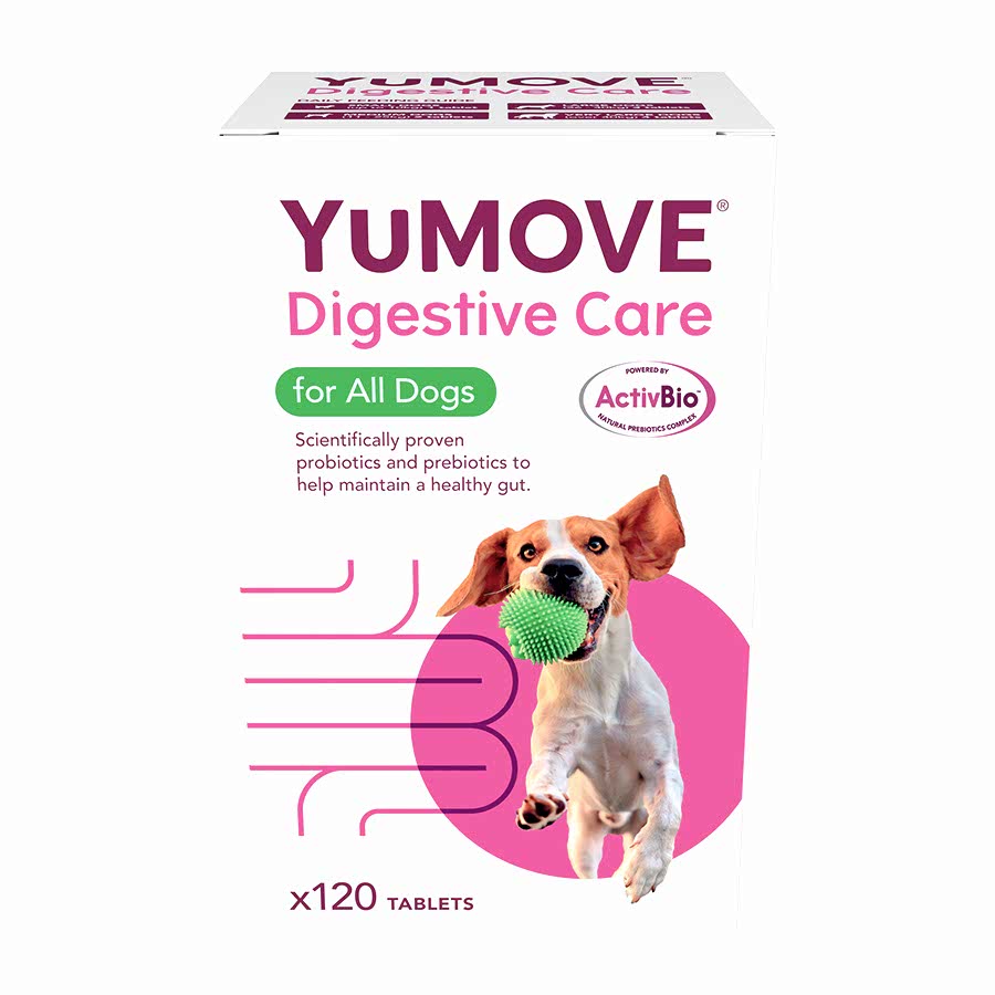 YuMOVE Digestive Care For All Dogs