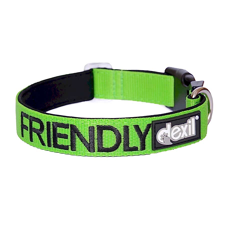 Friendly Dog Collars 'Friendly' Dog Collar Green