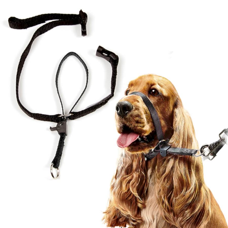 Beaphar Gentle Leader Headcollar Dogs Black